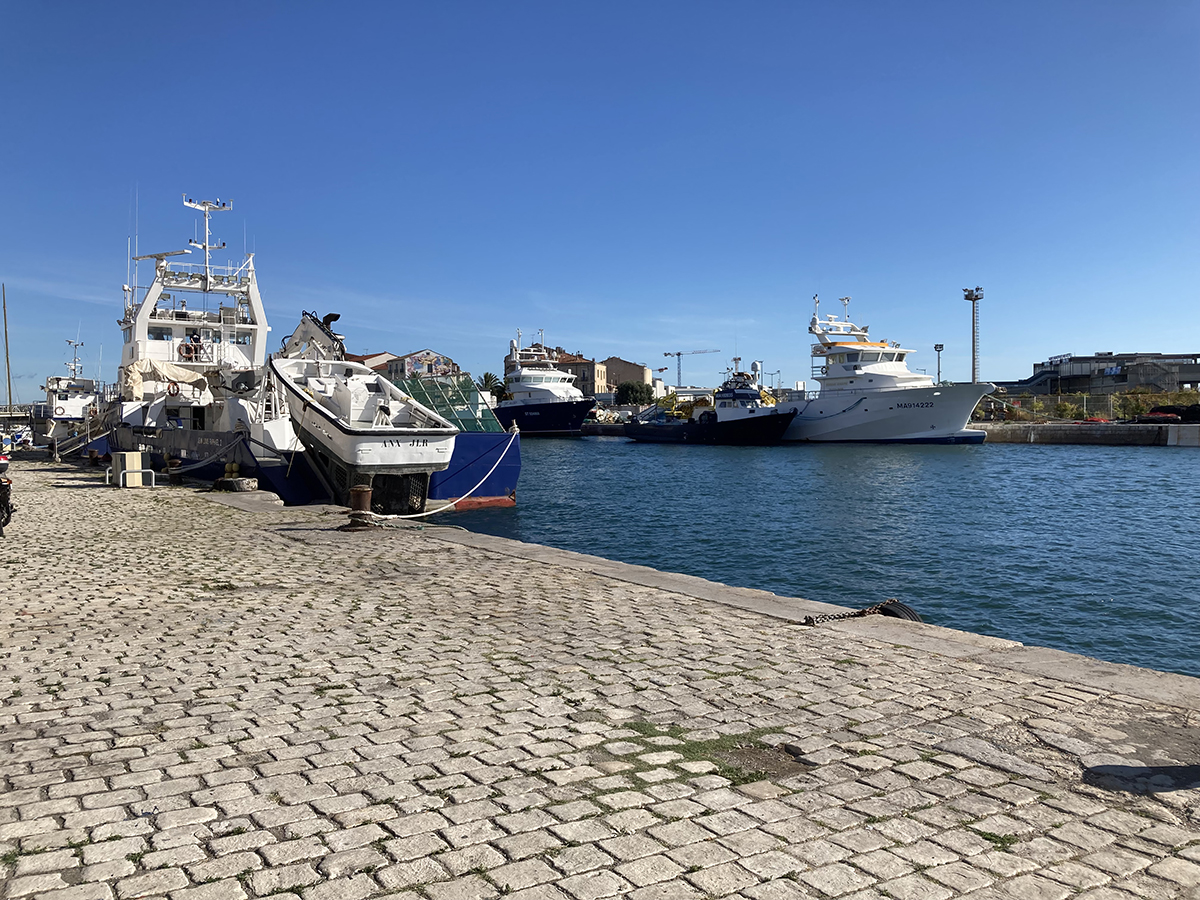 IMG_1339.JPG