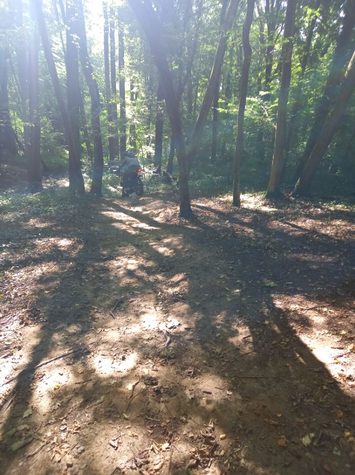 terrain sauvage 1.JPG
