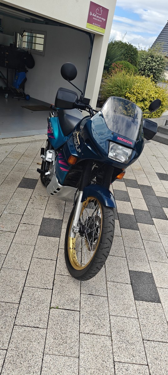 1000026494.jpg