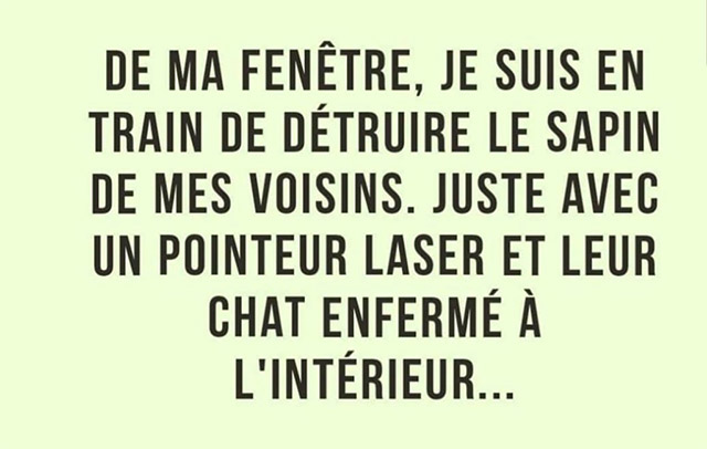 Chat_Laser.jpg