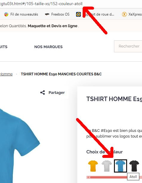 coixcouleur.jpg
