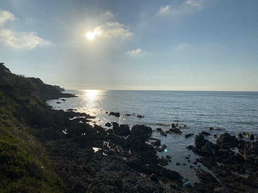 IMG_5205.jpeg