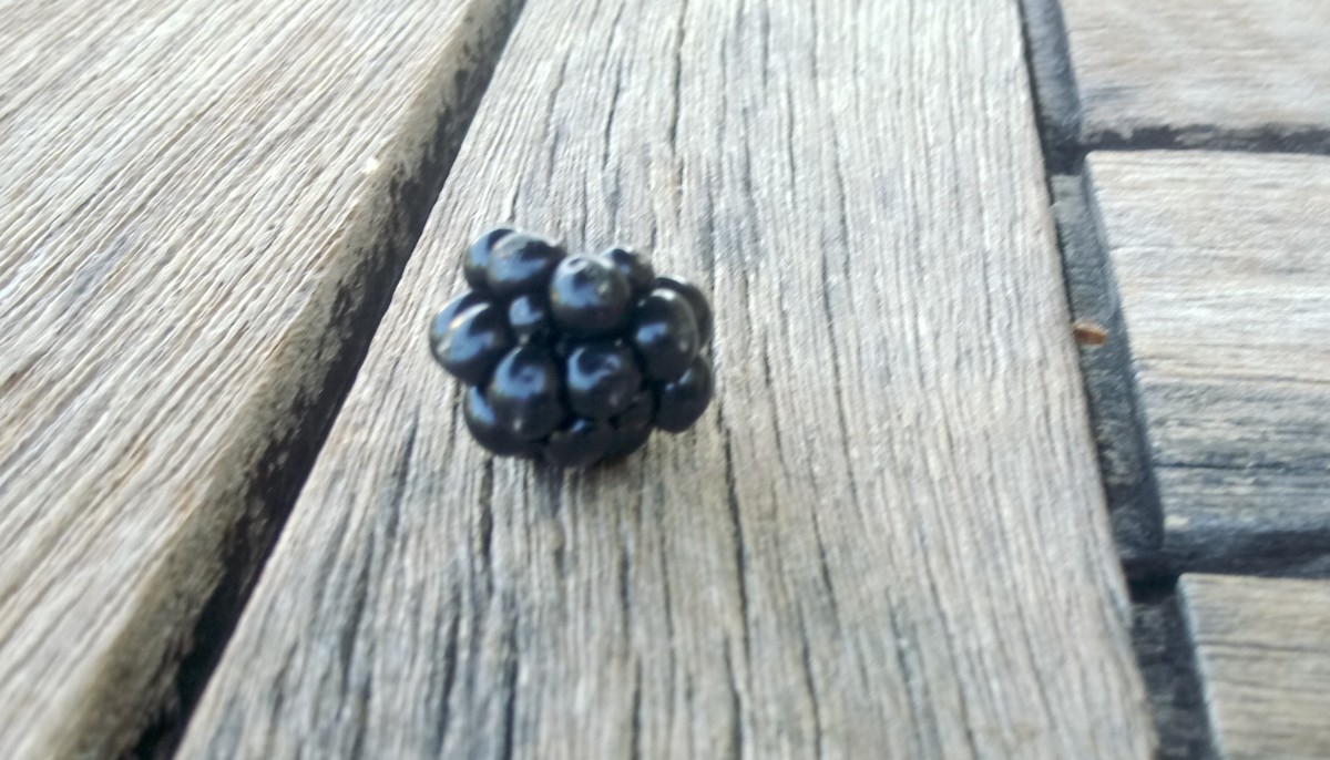 IMG-20210727-WA0004.jpeg